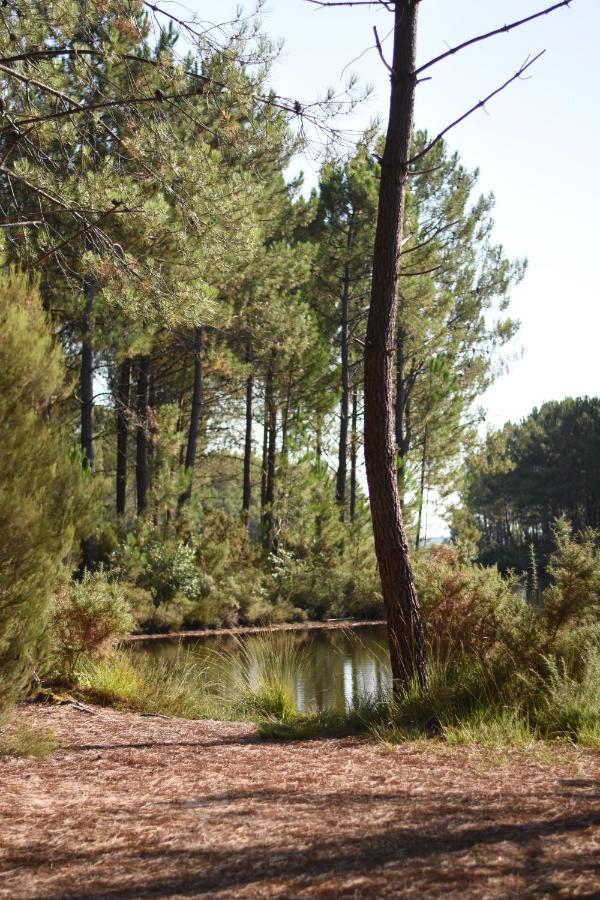 La Cachette Du Lac Lacanau Exteriör bild